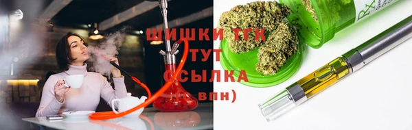 соль ск Няндома