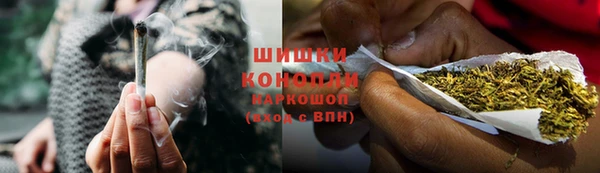 ECSTASY Новозыбков