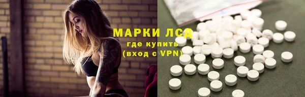 ECSTASY Новозыбков