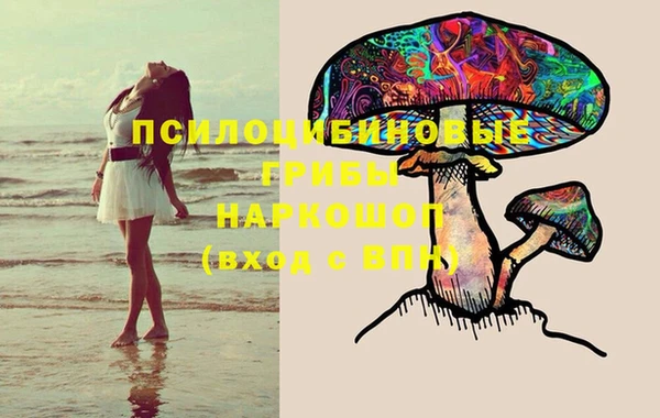 твердый Новодвинск