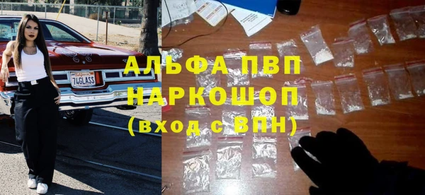 соль ск Няндома