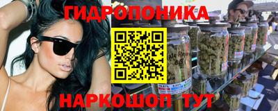 стаф Берёзовский