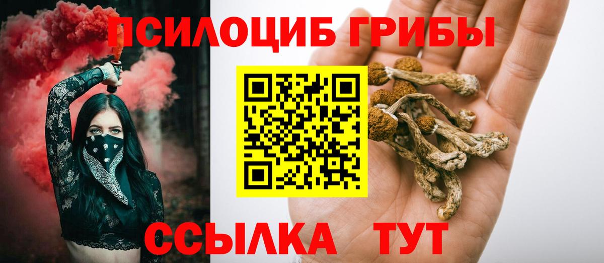 Переславль-Залесский  Псилоцибиновые грибы Psilocybine cubensis  Вход с VPN 