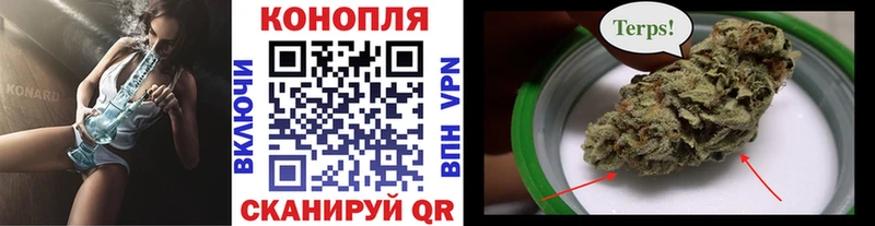 Бошки Шишки Amnesia  Переславль-Залесский 